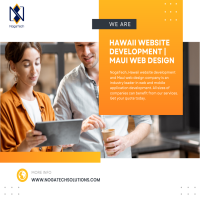 Hawaii website development  Maui web design  NogaTech